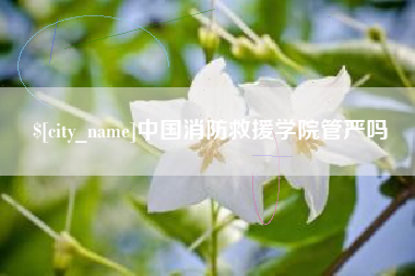 禹城中国消防救援学院管严吗