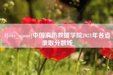 禹城中国消防救援学院2021年各省录取分数线