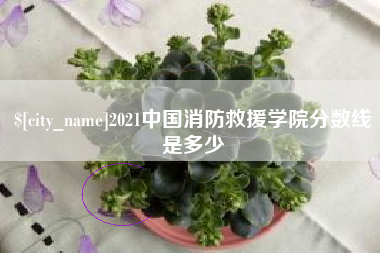 禹城2021中国消防救援学院分数线是多少