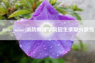 禹城消防救援学院招生录取分数线