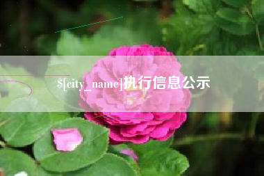 禹城执行信息公示