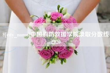 禹城中国消防救援学院录取分数线2020
