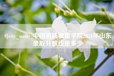 禹城中国消防救援学院2021年山东录取分数线是多少