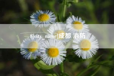 禹城成都 消防
