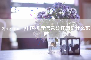 禹城中国执行信息公开网是什么东西