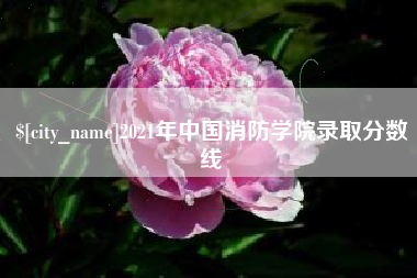 禹城2021年中国消防学院录取分数线