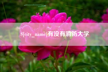 禹城有没有消防大学