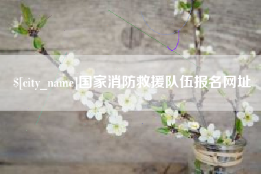 禹城国家消防救援队伍报名网址