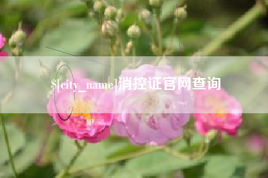 禹城消控证官网查询