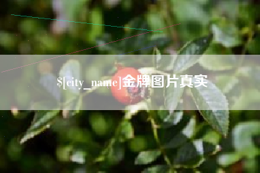 禹城金牌图片真实