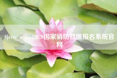禹城2020国家消防救援报名系统官网