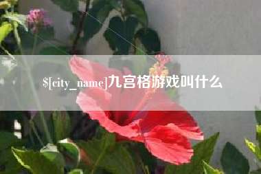 禹城九宫格游戏叫什么