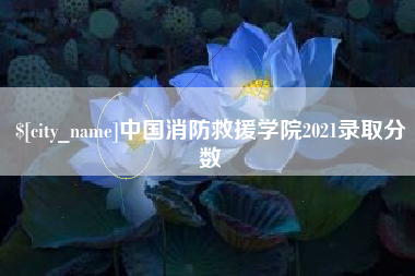 禹城中国消防救援学院2021录取分数