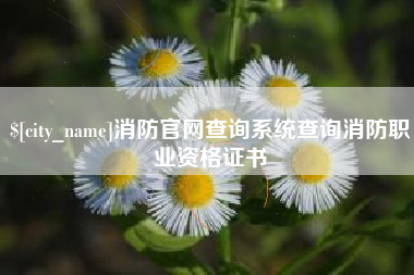 禹城消防官网查询系统查询消防职业资格证书