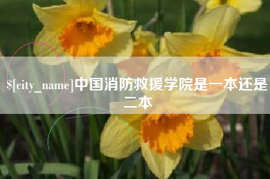 禹城中国消防救援学院是一本还是二本