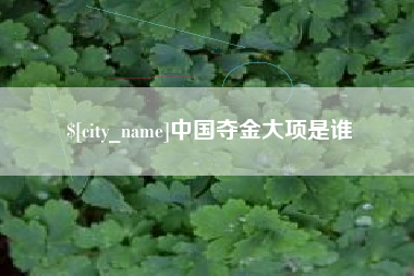 禹城中国夺金大项是谁