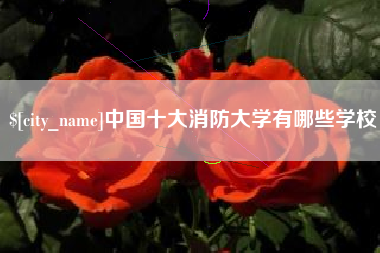 禹城中国十大消防大学有哪些学校
