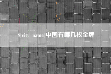 禹城中国有哪几枚金牌