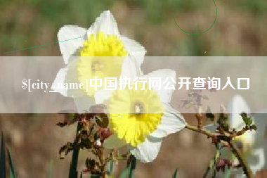 禹城中国执行网公开查询入口