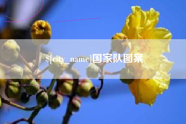 禹城国家队图案