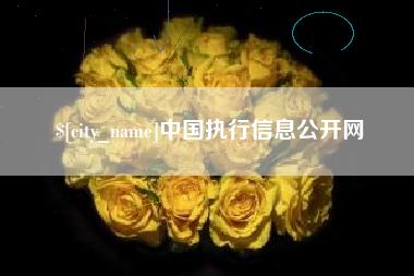 禹城中国执行信息公开网