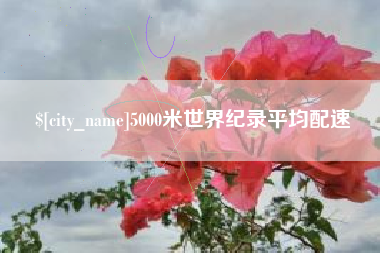 禹城5000米世界纪录平均配速