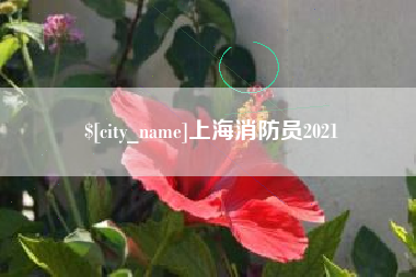 禹城上海消防员2021