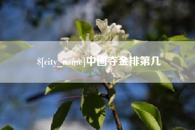 禹城中国夺金排第几