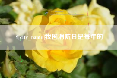 禹城我国消防日是每年的
