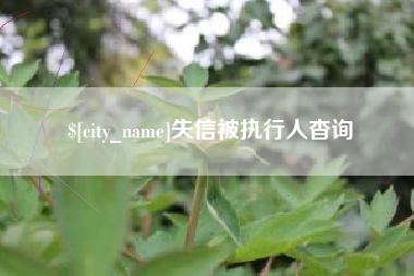 禹城失信被执行人杳询