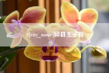 禹城邱县王子磊