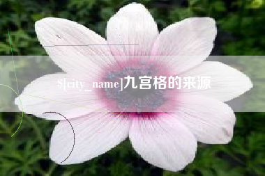 禹城九宫格的来源