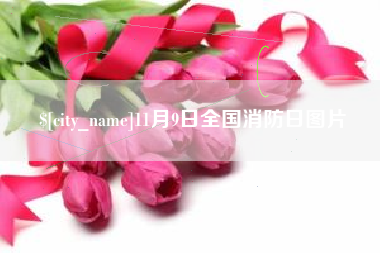 禹城11月9日全国消防日图片