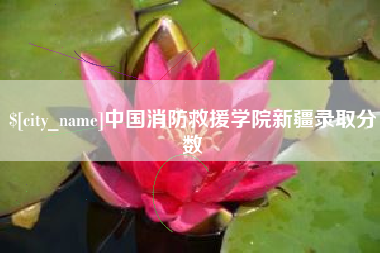 禹城中国消防救援学院新疆录取分数
