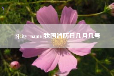 禹城我国消防日几月几号