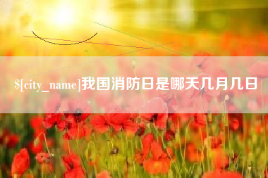禹城我国消防日是哪天几月几日