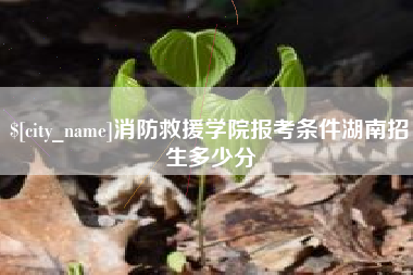 禹城消防救援学院报考条件湖南招生多少分