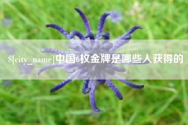 禹城中国6枚金牌是哪些人获得的