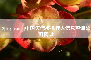 禹城中国失信被执行人信息查询公开网址