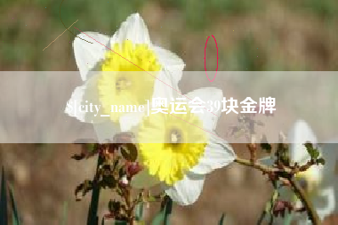 禹城奥运会39块金牌