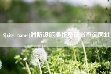 禹城消防设施操作员证书查询网址