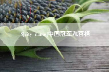 禹城中国冠军九宫格