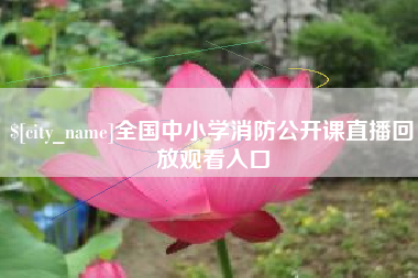 禹城全国中小学消防公开课直播回放观看入口