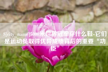 禹城5000米世界冠军穿什么鞋-它们是运动员取得优异成绩背后的重要“功臣”