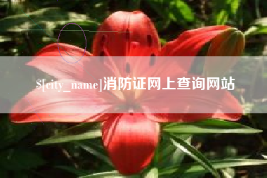 禹城消防证网上查询网站
