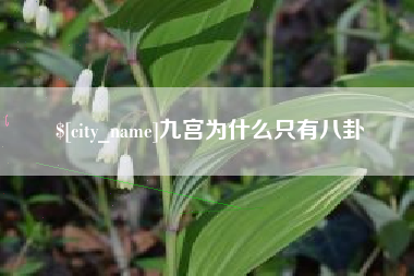 禹城九宫为什么只有八卦