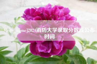 禹城2024消防大学录取分数线公布时间