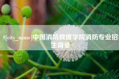 禹城中国消防救援学院消防专业招生简章