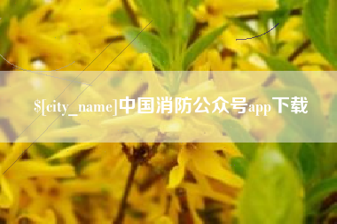 禹城中国消防公众号app下载