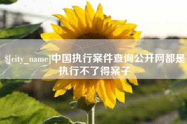 禹城中国执行案件查询公开网都是执行不了得案子